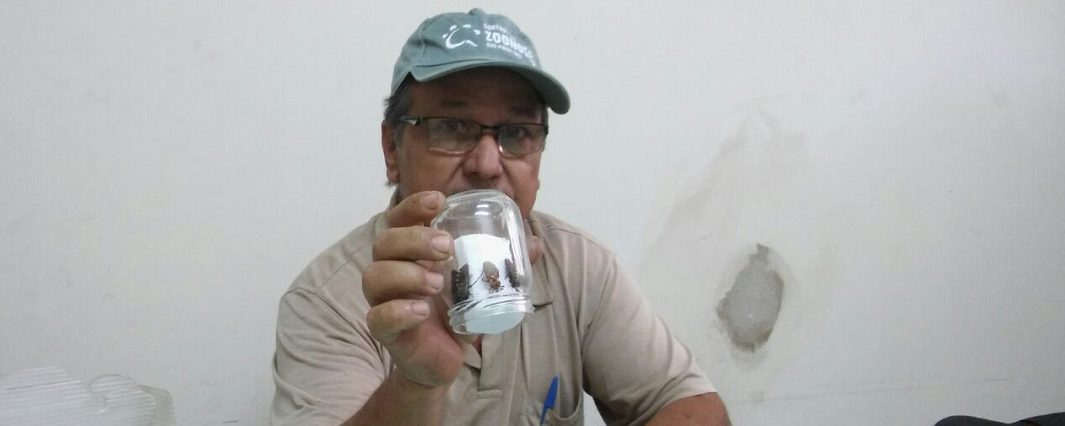 barbeiros em valadares são mais encontrados no pico da ibituruna
