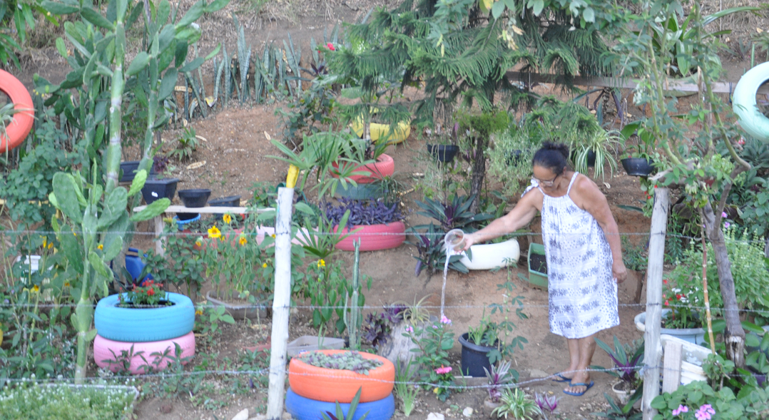 Jardim externo dona Darlete g