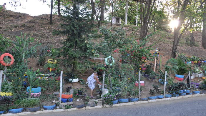 Jardim externo feito pela dona Darlete