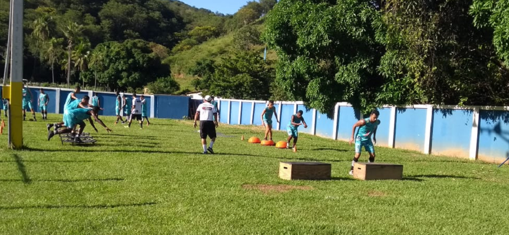 democrata 2019