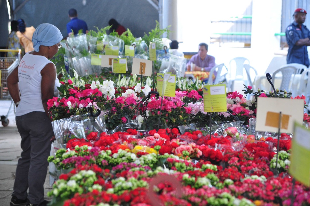 festa das flores em gov valadares