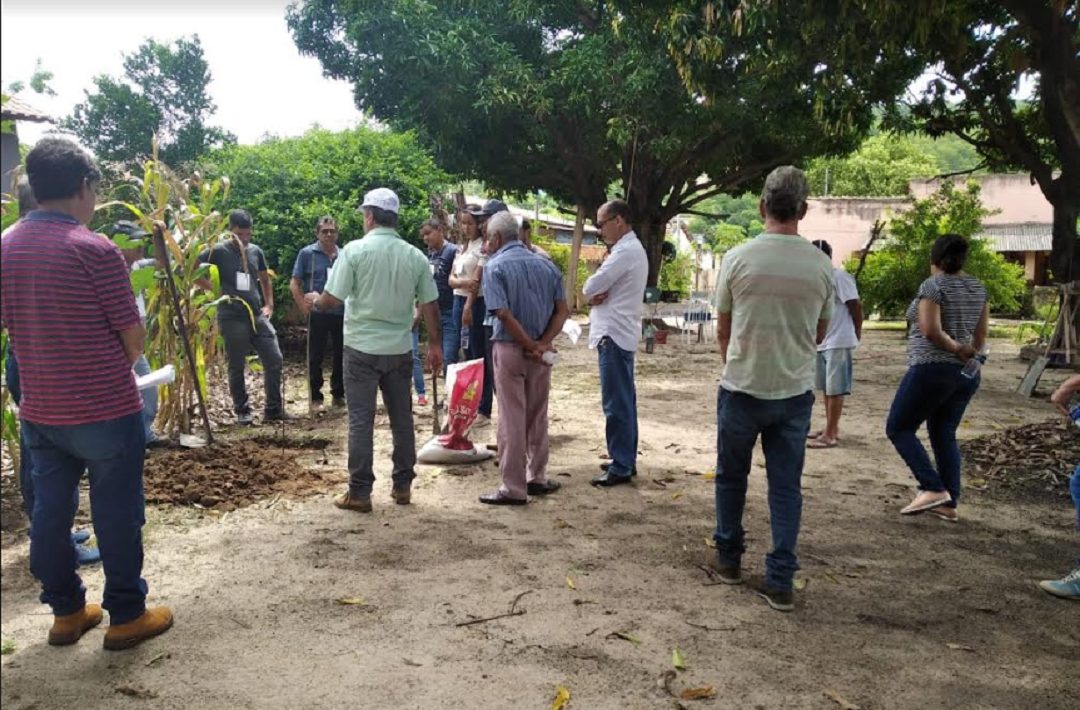 produtores rurais de conselheiro pena e galileia fazem curso de fruticultura