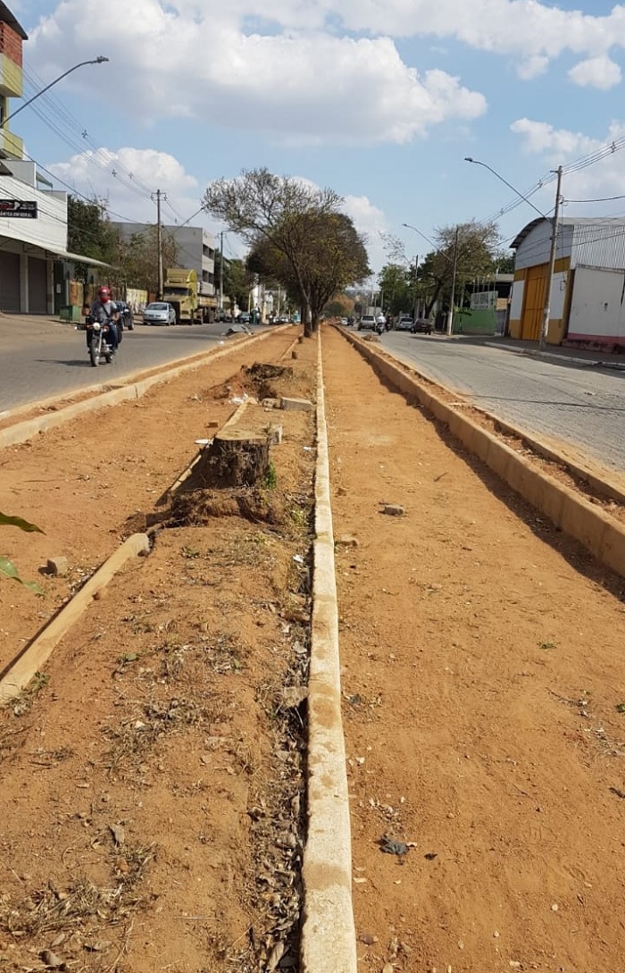 petição pede fim do corte de árvores em valadares