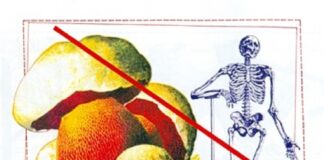 dançando em campo minado - artigo de welder souza