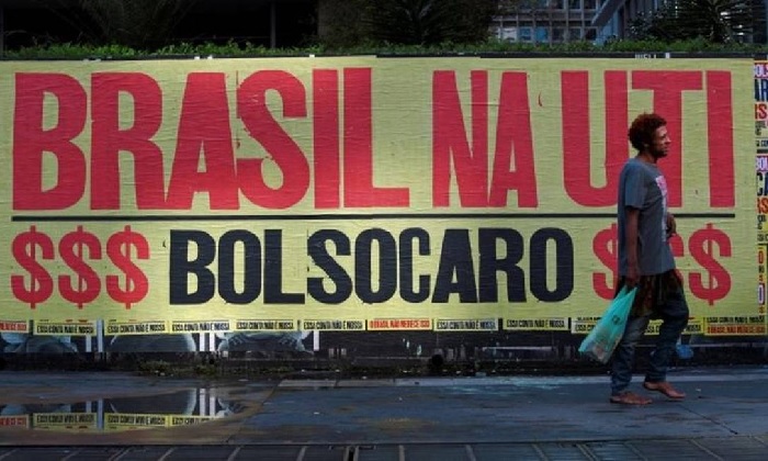 galinha que acompanha pato