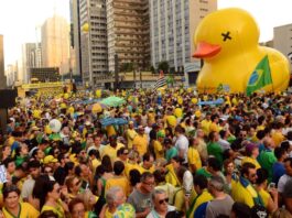 galinha que acompanha pato
