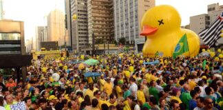 galinha que acompanha pato