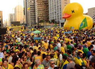 Galinha que acompanha pato… galinha que acompanha pato