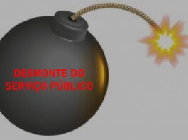 pec 32 e o desmonte do serviço público, artigo de sandra perpétuo