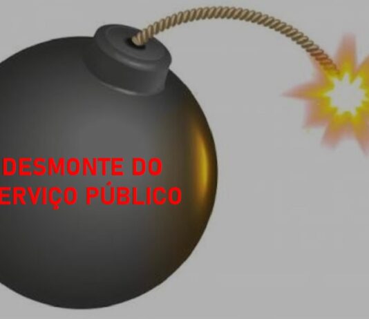 pec 32 e o desmonte do serviço público, artigo de sandra perpétuo