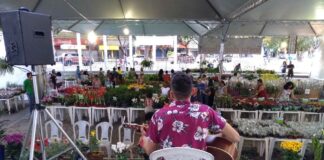 15ª festa das flores será de 9 a 19 em valadares