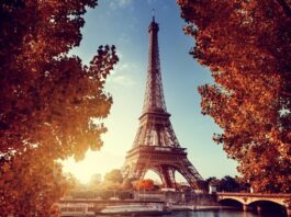 todo mundo gosta da frança - novo artigo de harley cândido nogueira