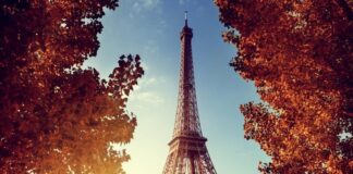 todo mundo gosta da frança - novo artigo de harley cândido nogueira
