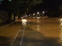 tcu aprova contas do governo elisa e põe em xeque operação mar de lama