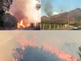 bombeiros e brigadistas trabalham no combate ao foto na ibituruna em valadares
