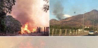 bombeiros e brigadistas trabalham no combate ao foto na ibituruna em valadares