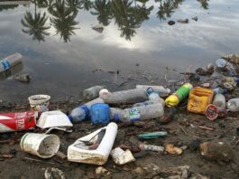webinar apresenta iniciativas para uso do plástico reciclável