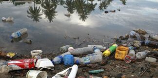 webinar apresenta iniciativas para uso do plástico reciclável