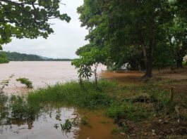 rio doce entra na cota de alerta em valadares