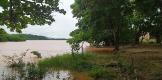 rio doce entra na cota de alerta em valadares