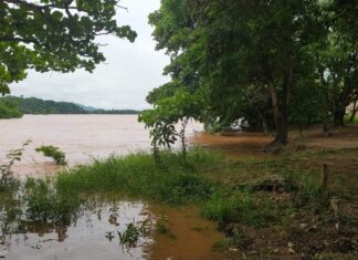 Nível do rio Doce entra na cota de alerta em Valadares rio doce entra na cota de alerta em valadares