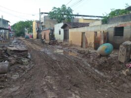 Confira fotos após terceira maior enchente de Valadares