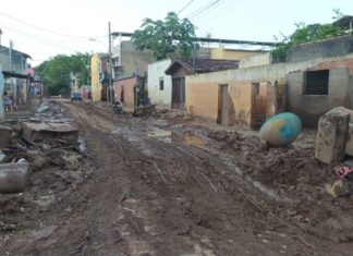Pós-enchente: veja fotos dos locais afetados pela terceira maior cheia em Valadares Confira fotos após terceira maior enchente de Valadares