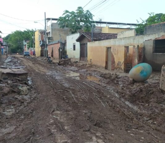 Confira fotos após terceira maior enchente de Valadares