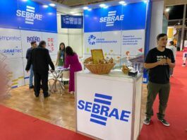 sebrae presta consultoria gratuita durante a expoleste