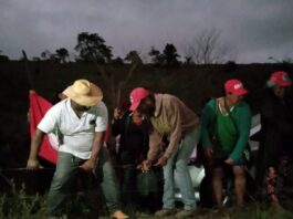 mst volta a ocupar terras no vale do rio doce