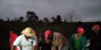mst volta a ocupar terras no vale do rio doce