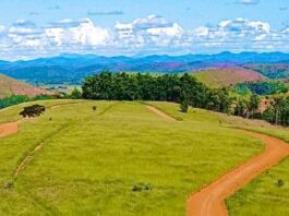 MP pede a suspensão de leis e obras de chacreamentos em Valadares