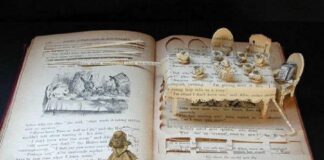 profissionais liberais impulsionam a literatura ficcional