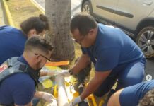Durante capacitação, Samu atende vítimas de acidente na JK Durante capacitação, Samu atende vítimas de acidente na JK